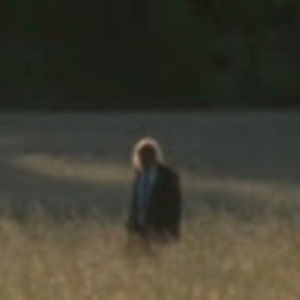 Meet your Posher, Joey